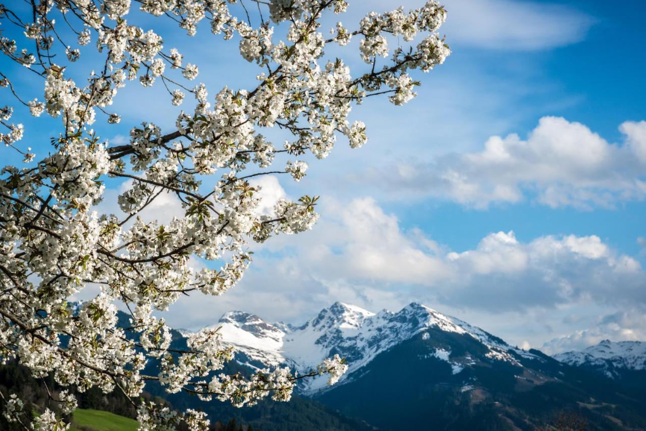Residence Reith Kitzbuehel エクステリア 写真